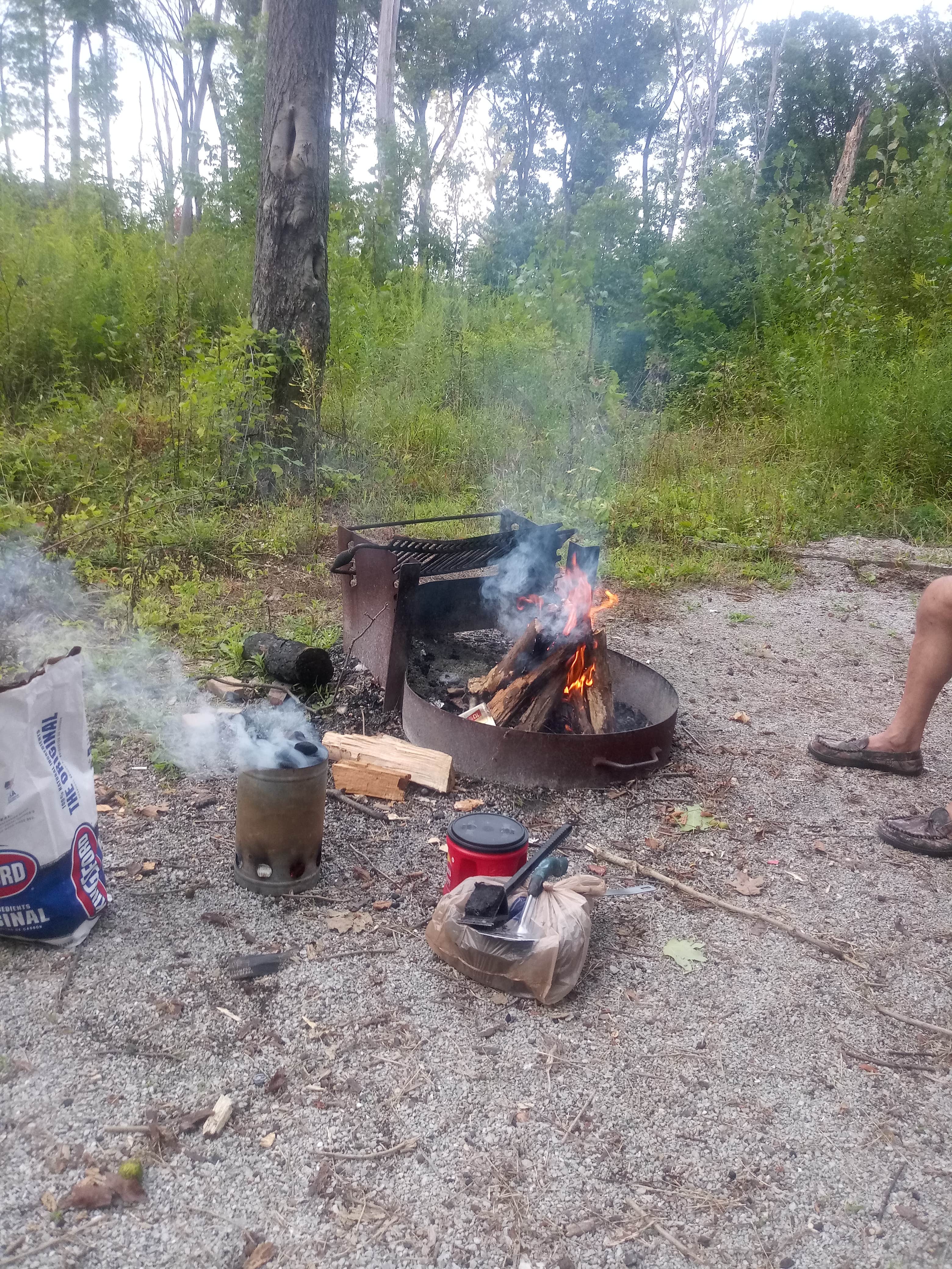 Camper submitted image from Kil-So-Quah - J. Edward Roush Lake - 2