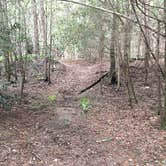 Review photo of Hickory Creek and Conasauga River Intersection Backcountry Campground by Asher K., September 7, 2017