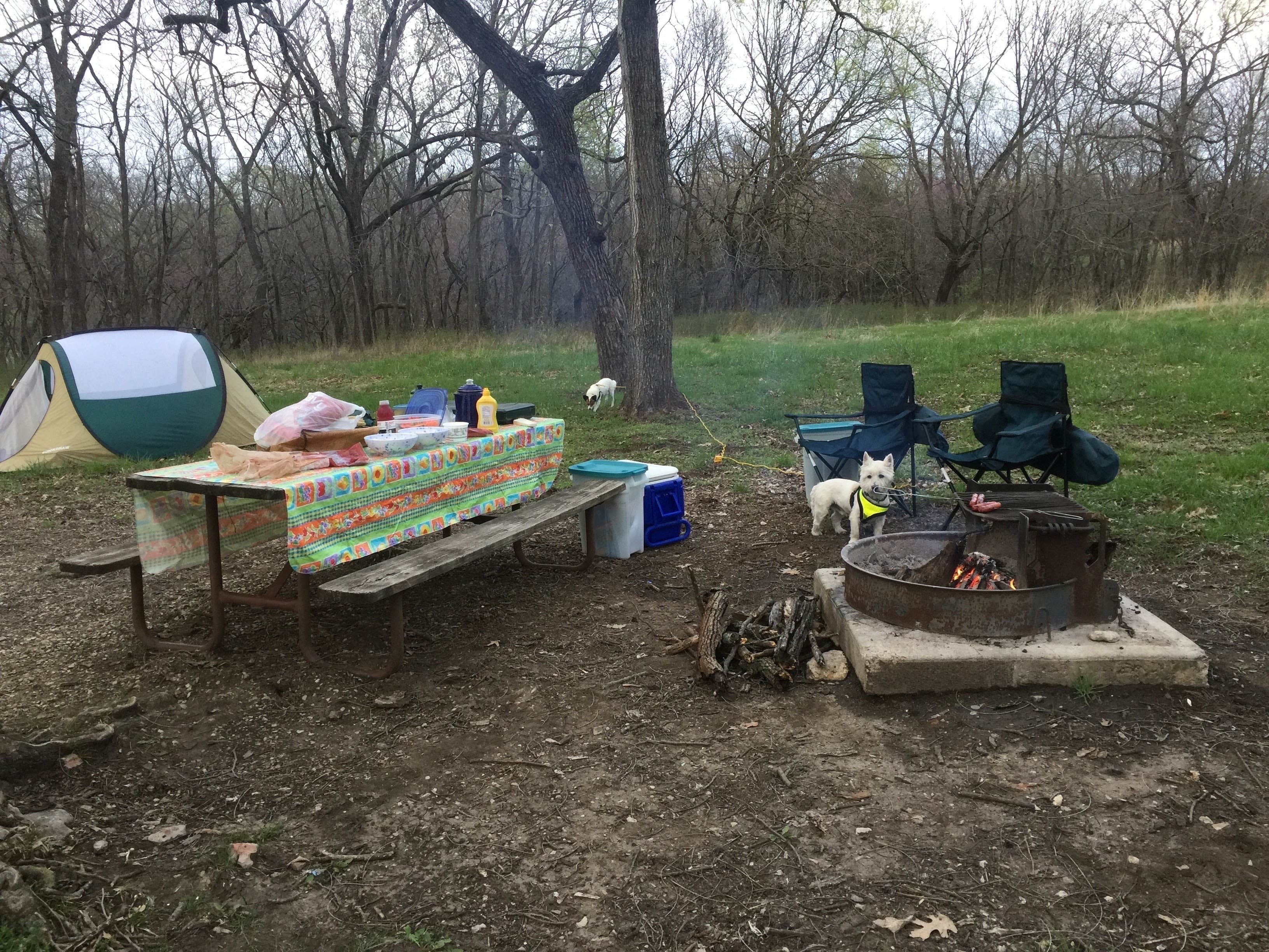 Janice  O.'s photo at Prairie Clover Campground — Clinton State Park near De Soto, KS