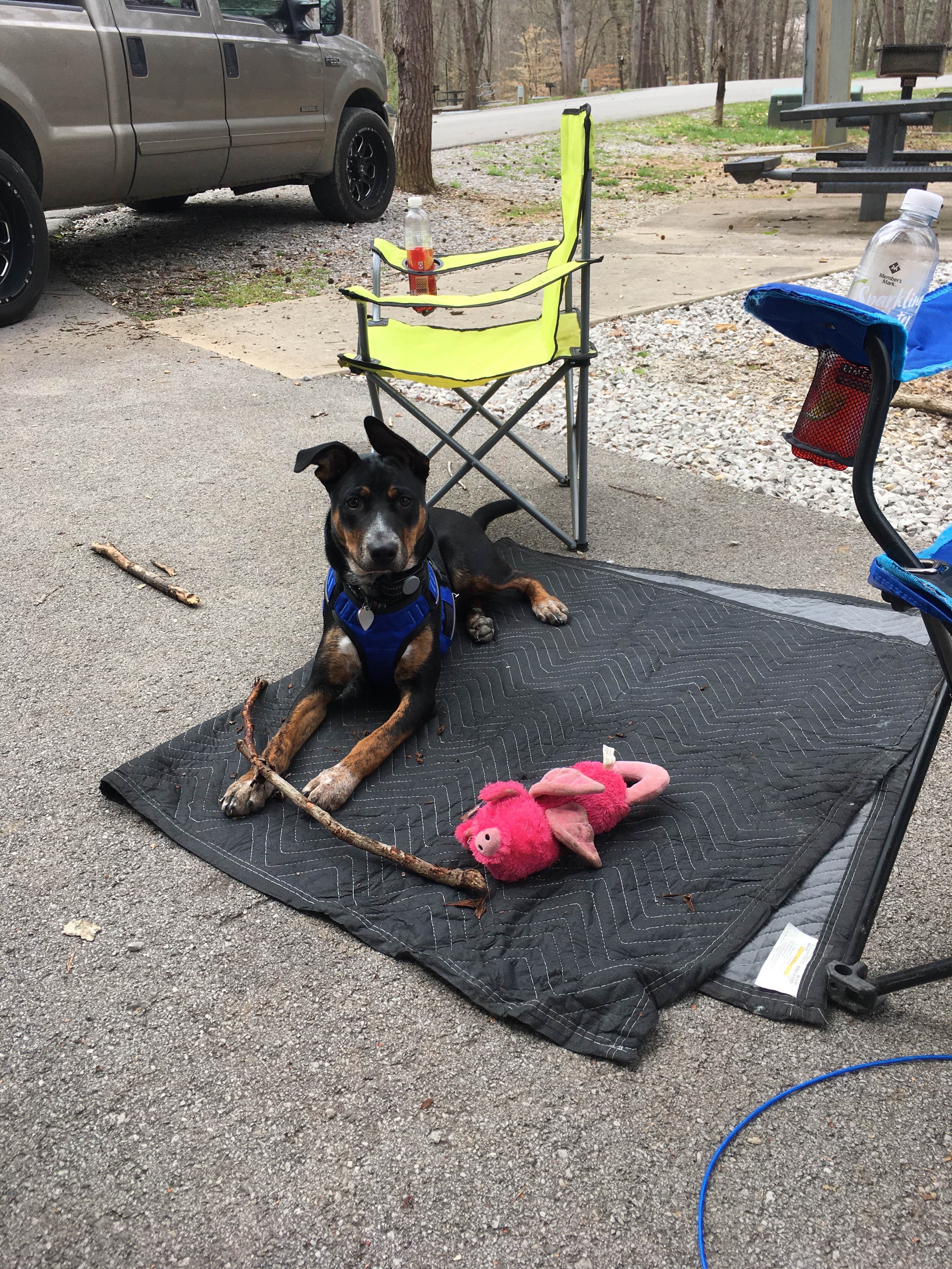 Benjamin C.'s photo of camping with pets at Rock Island State Park Campground near Pocahontas, TN