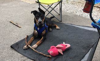 Benjamin C.'s photo of camping with pets at Rock Island State Park Campground near Center Hill Lake