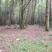 Review photo of Hickory Creek and Conasauga River Intersection Backcountry Campground by Asher K., September 7, 2017