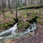 Review photo of Rock Island State Park Campground by Katie  R., March 24, 2020