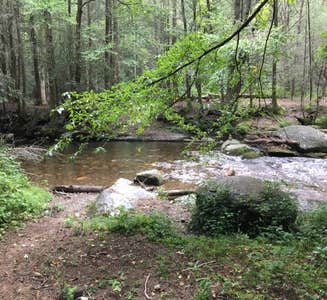 Camper-submitted photo from Hickory Creek and Conasauga River Intersection Backcountry Campground