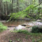 Review photo of Hickory Creek and Conasauga River Intersection Backcountry Campground by Asher K., September 7, 2017