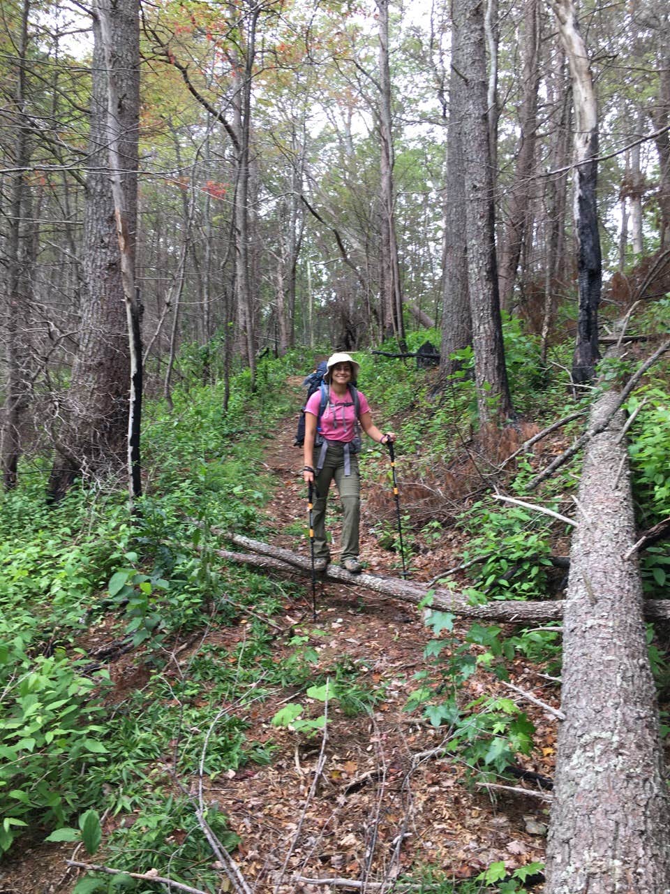 Camper-submitted photo at Hickory Creek and Conasauga River Intersection Backcountry Campground near Eton, GA