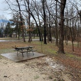 Review photo of Lake of the Ozarks State Park Campground by Scott M., March 19, 2020