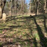 Review photo of Lake of the Ozarks State Park Campground by Scott M., March 19, 2020