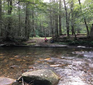 Camper-submitted photo from Hickory Creek and Conasauga River Intersection Backcountry Campground