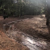 Review photo of Houston Mesa Campground by Melissa S., March 24, 2020