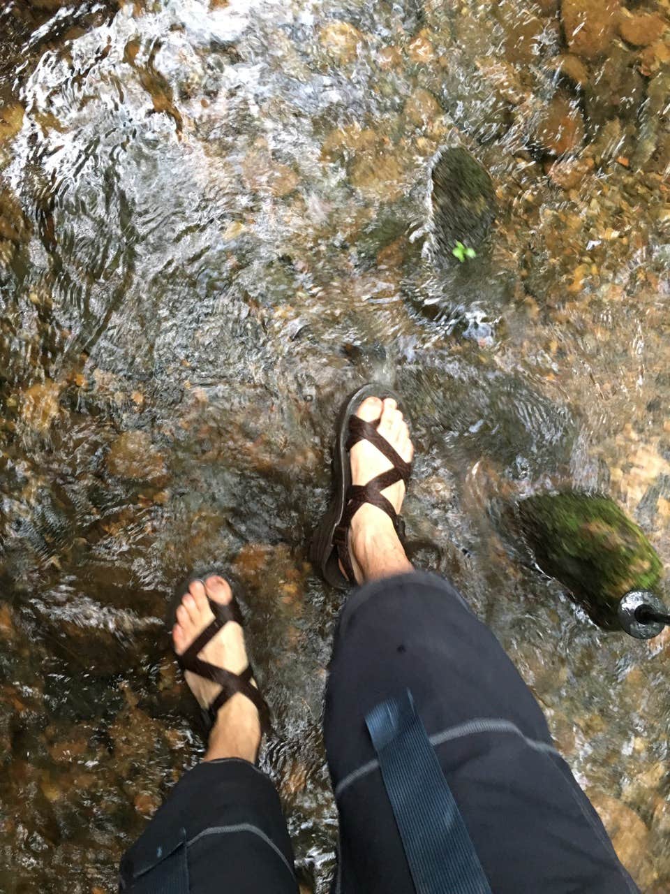 Camper submitted image from Hickory Creek and Conasauga River Intersection Backcountry Campground - 1