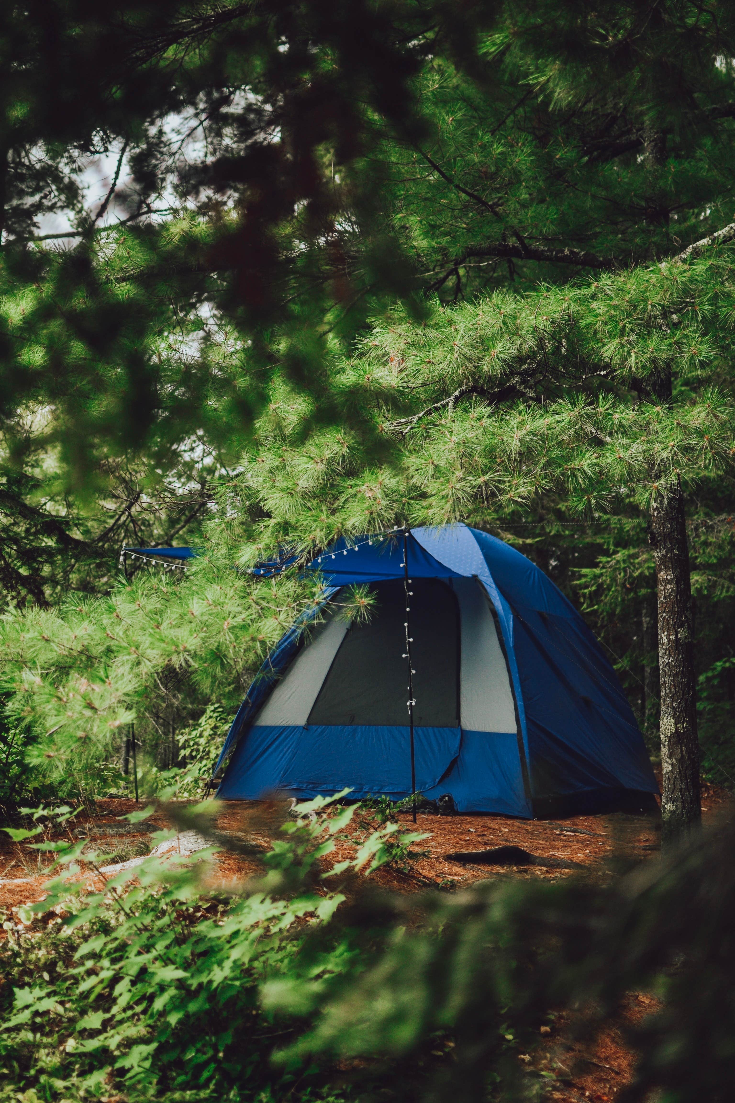 Sapphire J.'s photo of tent camping at Boundary Waters Canoe Area, Cherokee Lake Backcountry Camping near Grand Marais, MN
