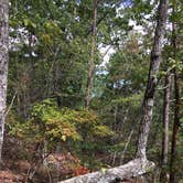 Review photo of Cave Creek Trail Backcountry Campground by Asher K., September 7, 2017