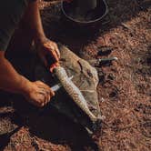 Review photo of Boundary Waters Canoe Area, Cherokee Lake Backcountry Camping by Sapphire J., March 24, 2020