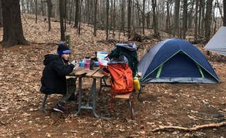 Mark M.'s photo at The Pines Rustic Campground — Waterloo Recreation Area near Okemos, MI