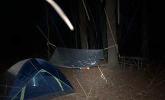 Camping near Ted Ranch Campground: The Pines Rustic Campground — Waterloo Recreation Area, Grass Lake, Michigan