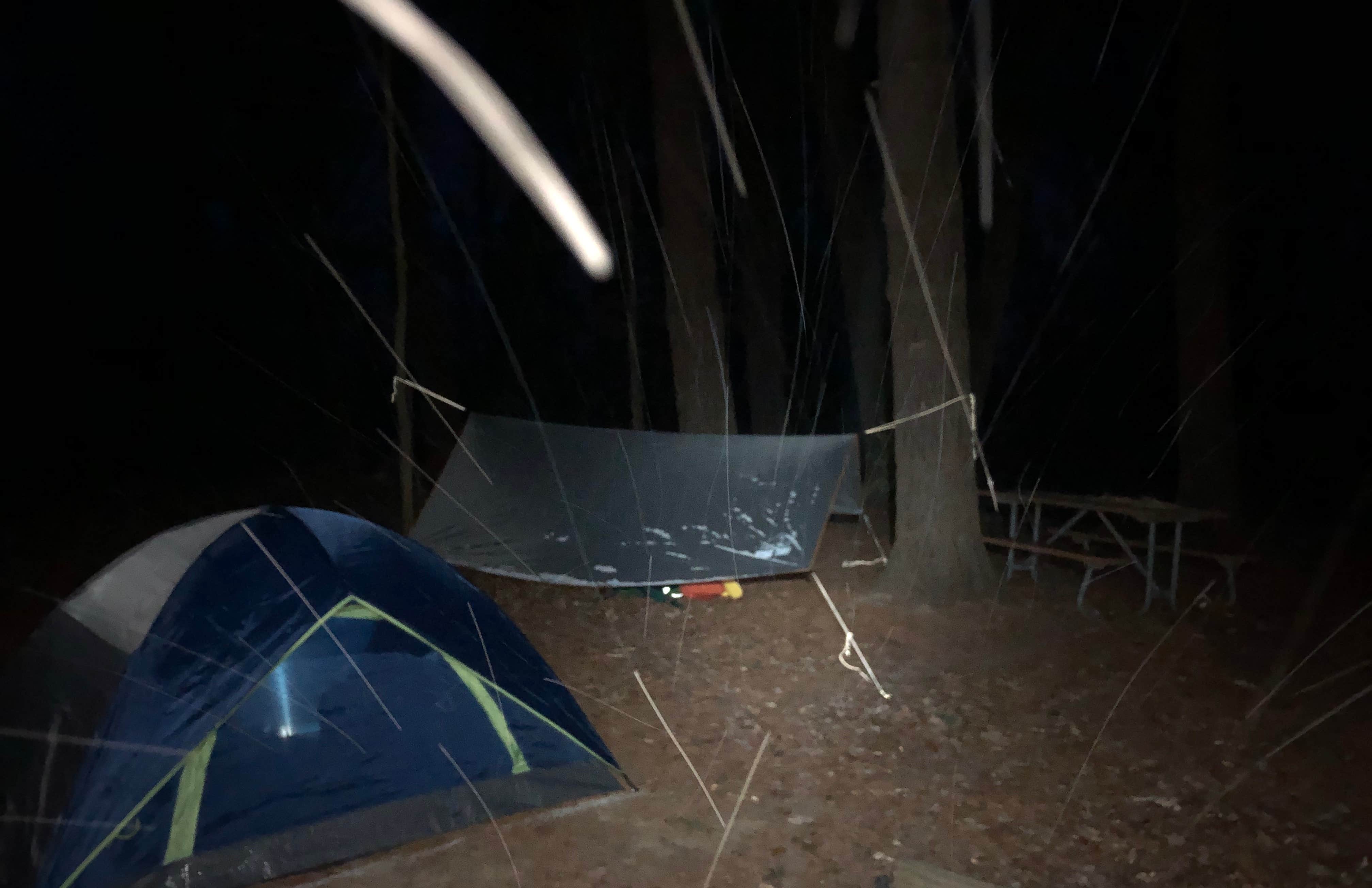 Camper submitted image from The Pines Rustic Campground — Waterloo Recreation Area - 1