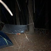 Review photo of The Pines Rustic Campground — Waterloo Recreation Area by Mark M., March 24, 2020