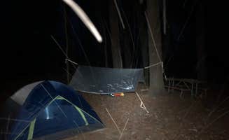 Mark M.'s photo at Pines Rustic Campground — Waterloo Recreation Area near Albion, MI