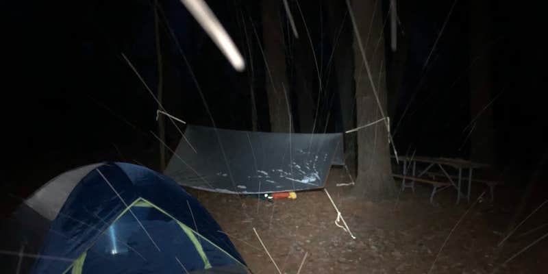 Camper submitted image from Pines Rustic Campground — Waterloo Recreation Area