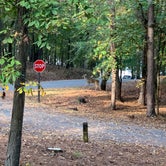 Review photo of McKinney Campground by Shanna S., March 24, 2020