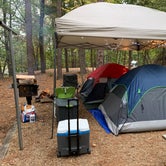Review photo of McKinney Campground by Shanna S., March 24, 2020