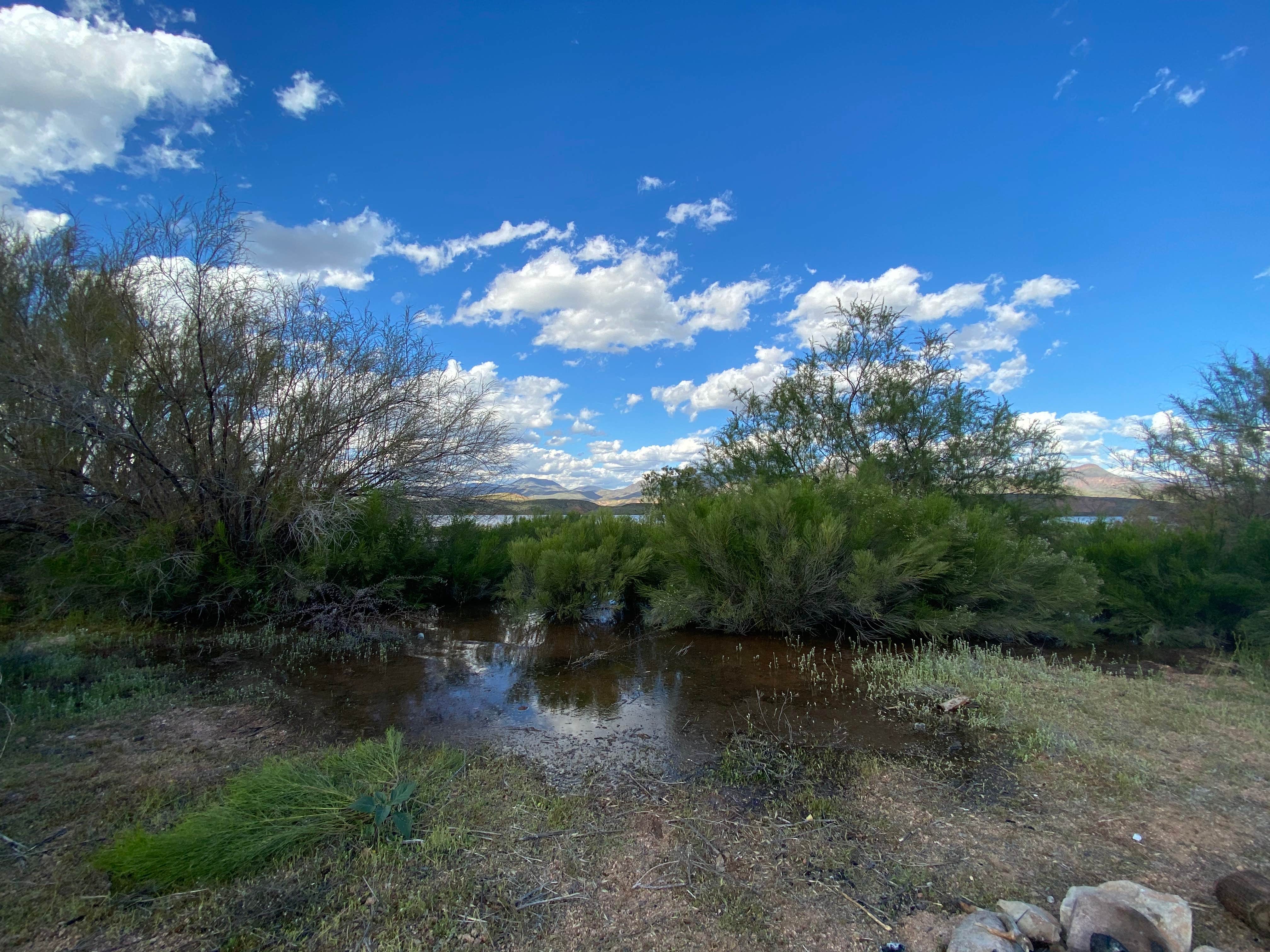Camper-submitted photo at Bermuda Flat Recreation Site near Tonto Basin, AZ