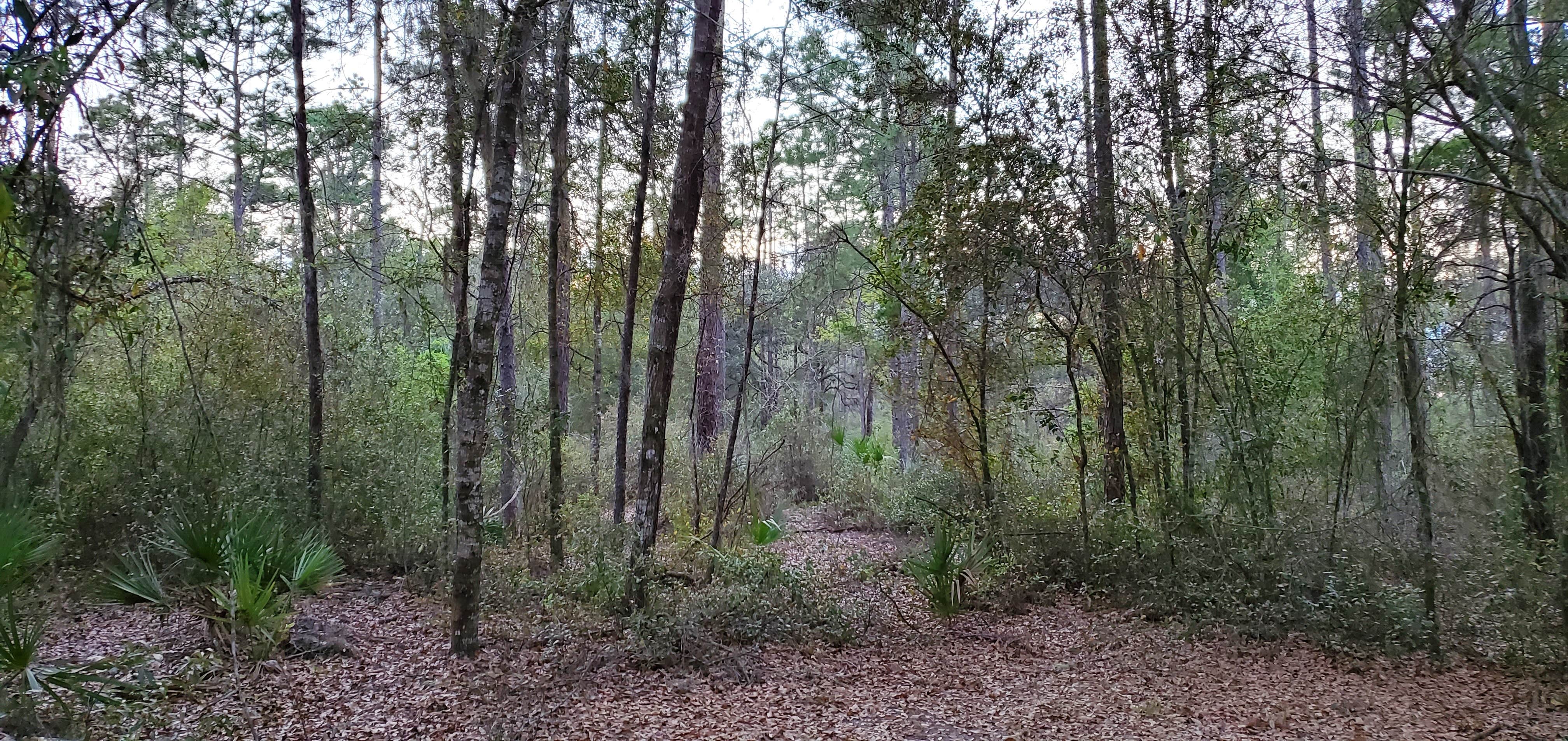Nature