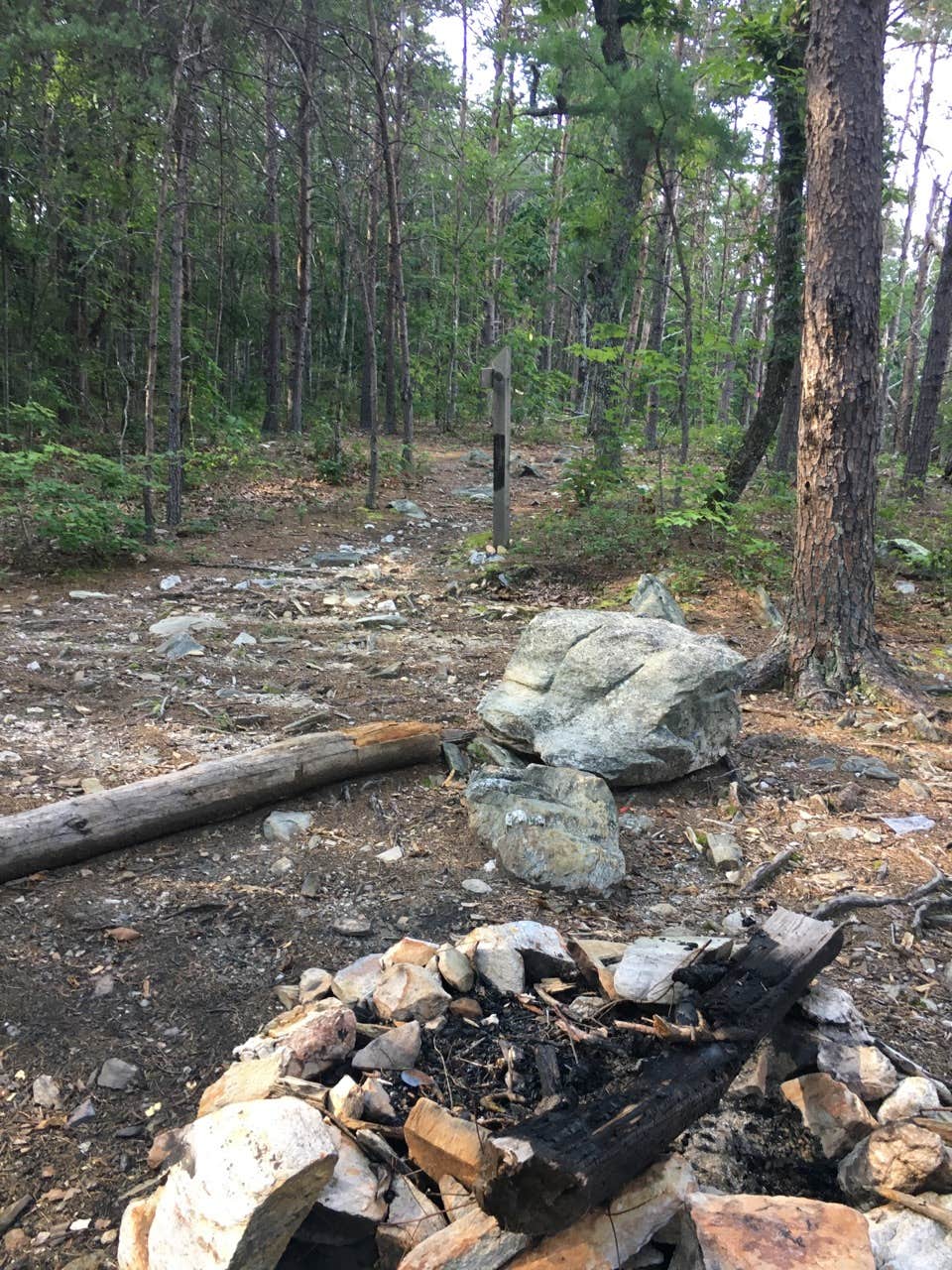 Camper-submitted photo at Cave Creek Trail Backcountry Campground near Lineville, AL