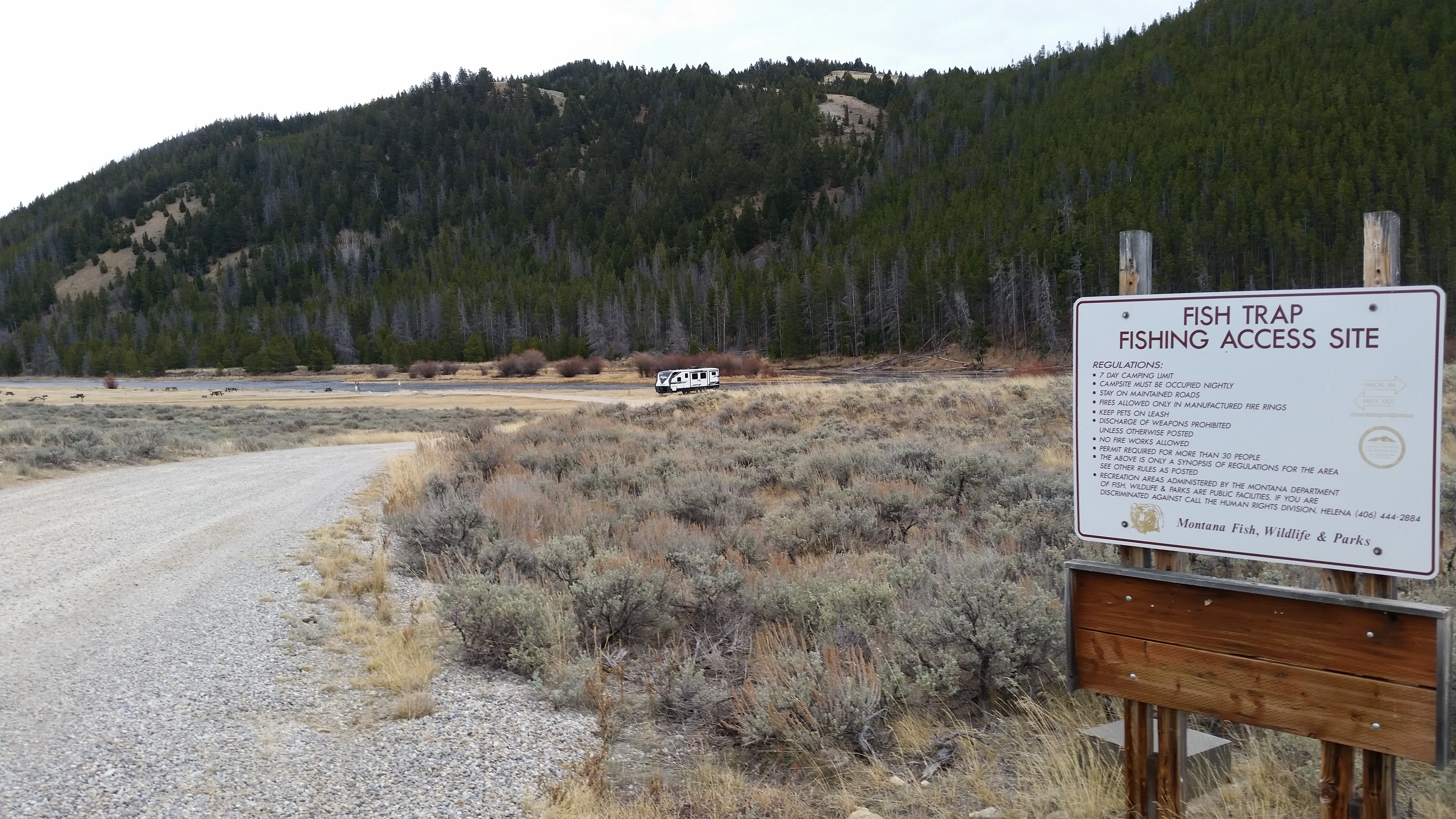 Camper submitted image from Fishtrap Creek Montana FWP - 3
