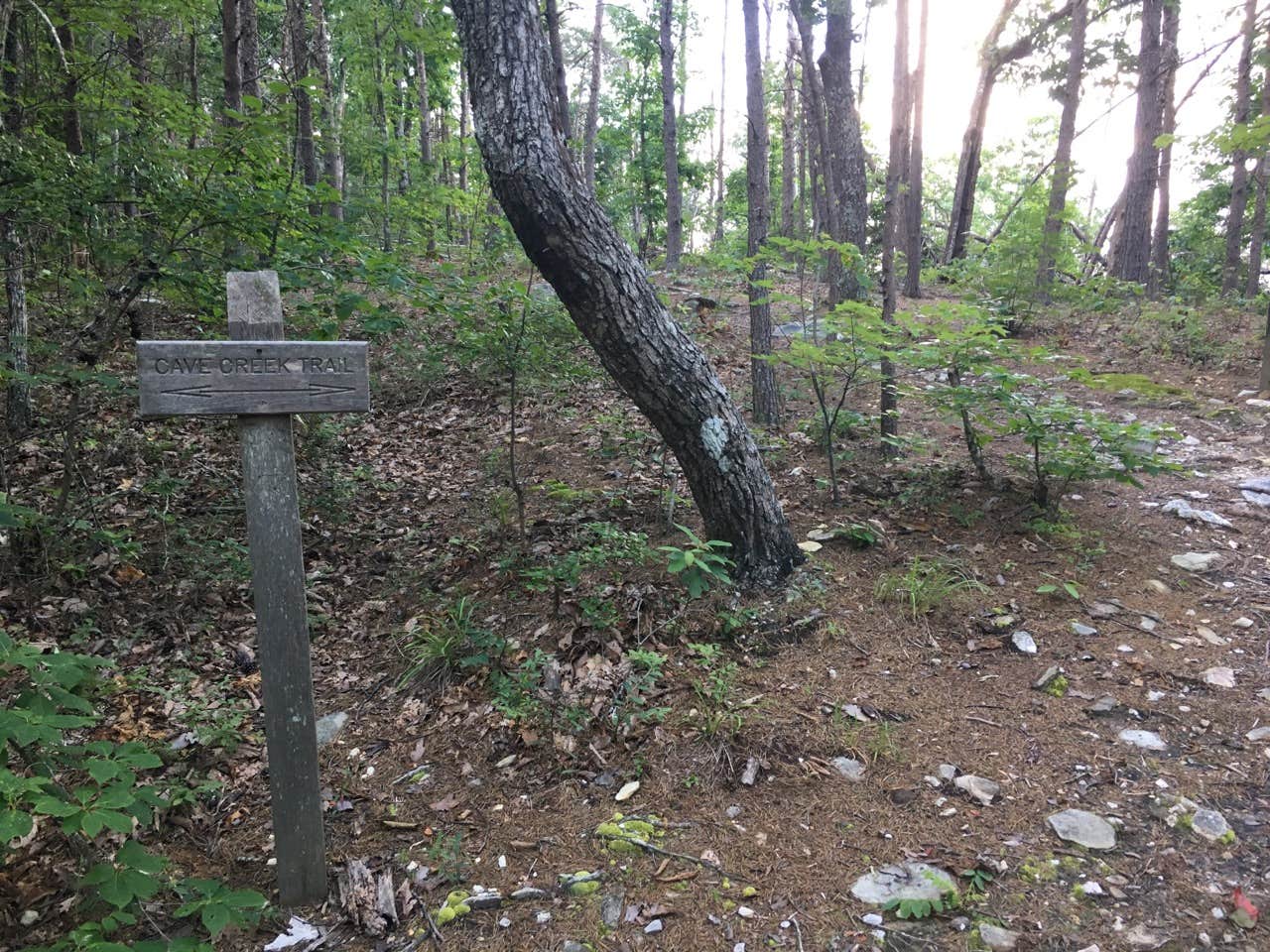 Camper-submitted photo at Cave Creek Trail Backcountry Campground near Lineville, AL