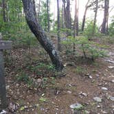 Review photo of Cave Creek Trail Backcountry Campground by Asher K., September 7, 2017