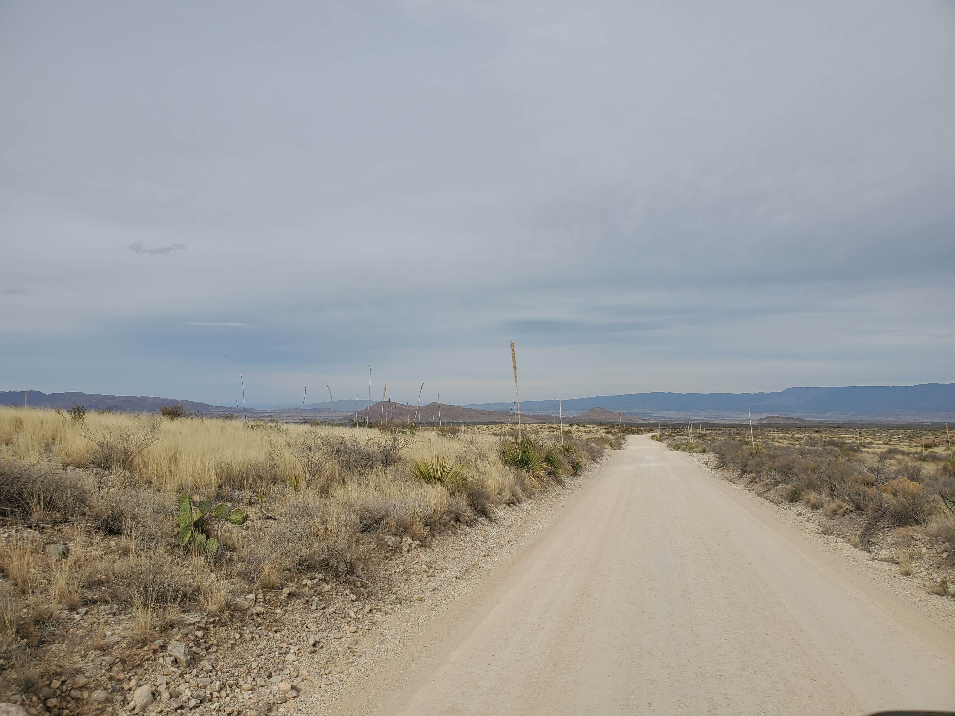 Camper submitted image from Grapevine Hills (GH-4 & GH-5) — Big Bend National Park - 4