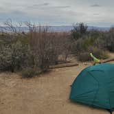 Review photo of Grapevine Hills (GH-4 & GH-5) — Big Bend National Park by Melissa W., March 25, 2020