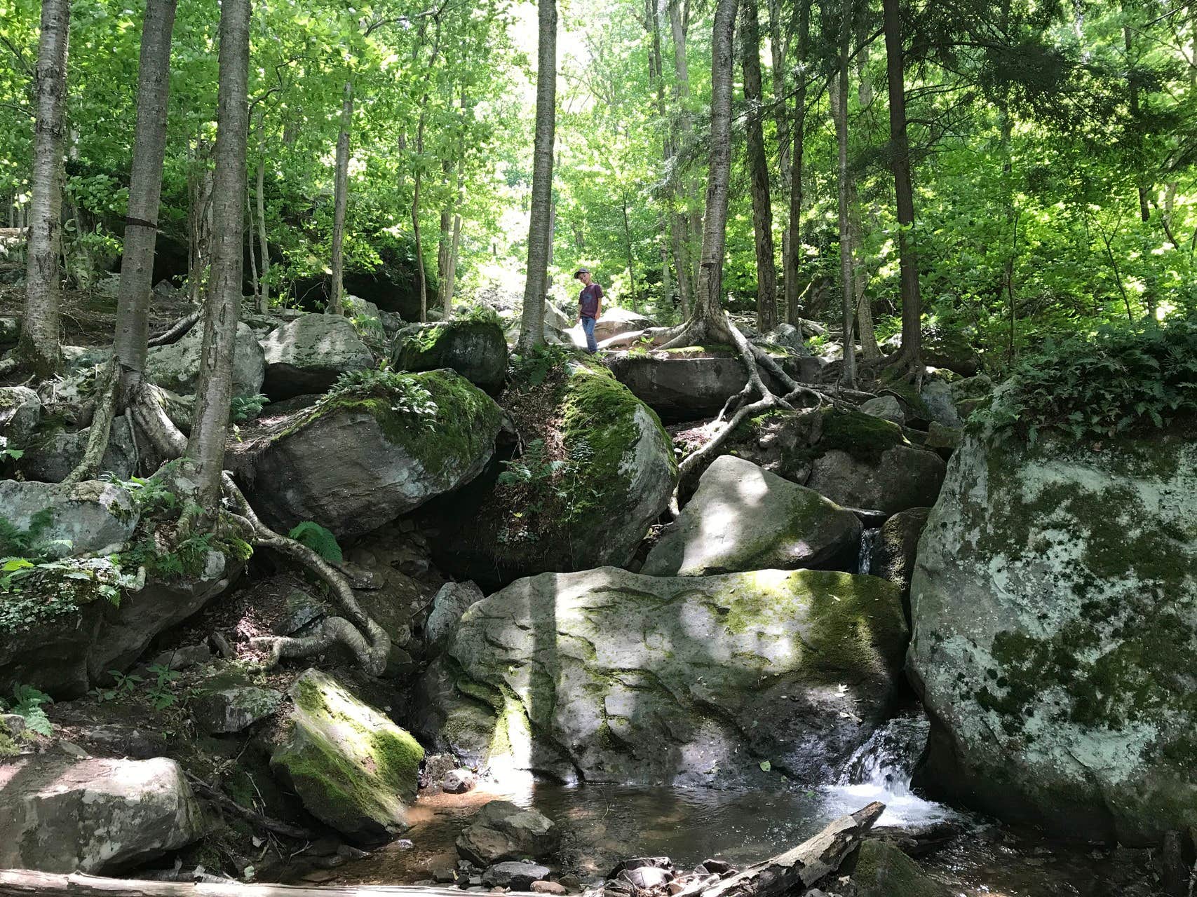 Camper submitted image from Red Oak Campground - 4