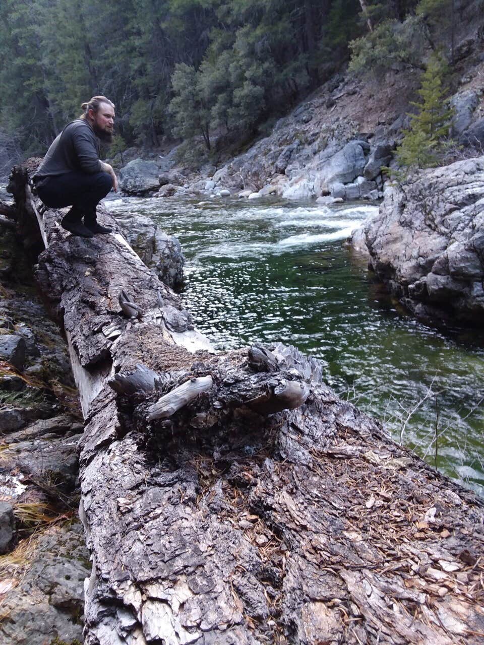 Camper submitted image from Bridge Camp (Ca) — Shasta Trinity National Forest - 1