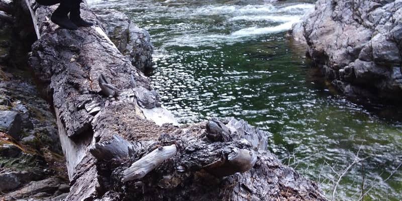 Camper submitted image from Bridge Camp (Ca) — Shasta Trinity National Forest