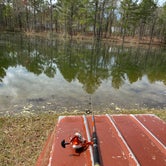 Review photo of Pine Lake RV Resort by Patrick F., March 26, 2020