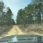 Review photo of Pine Lake RV Resort by Patrick F., March 26, 2020