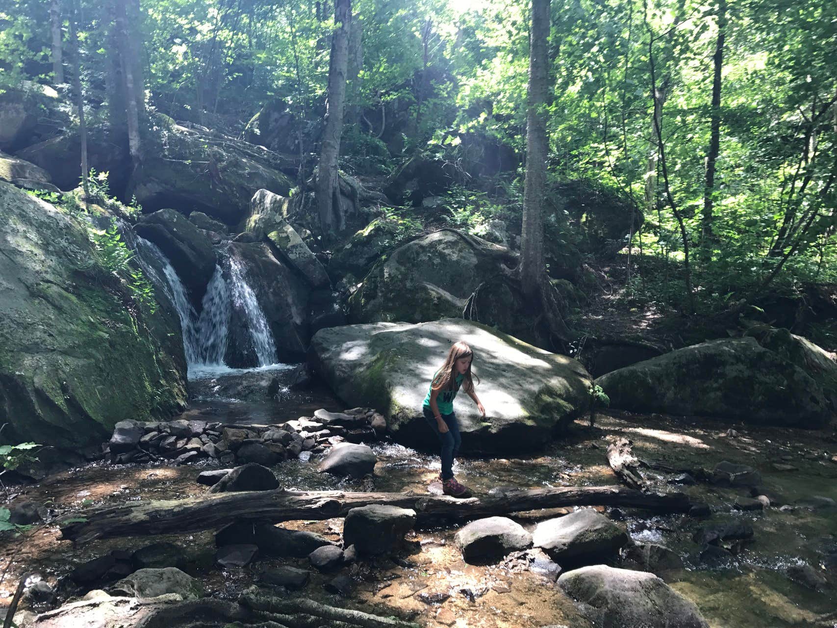 Camper submitted image from Red Oak Campground - 2