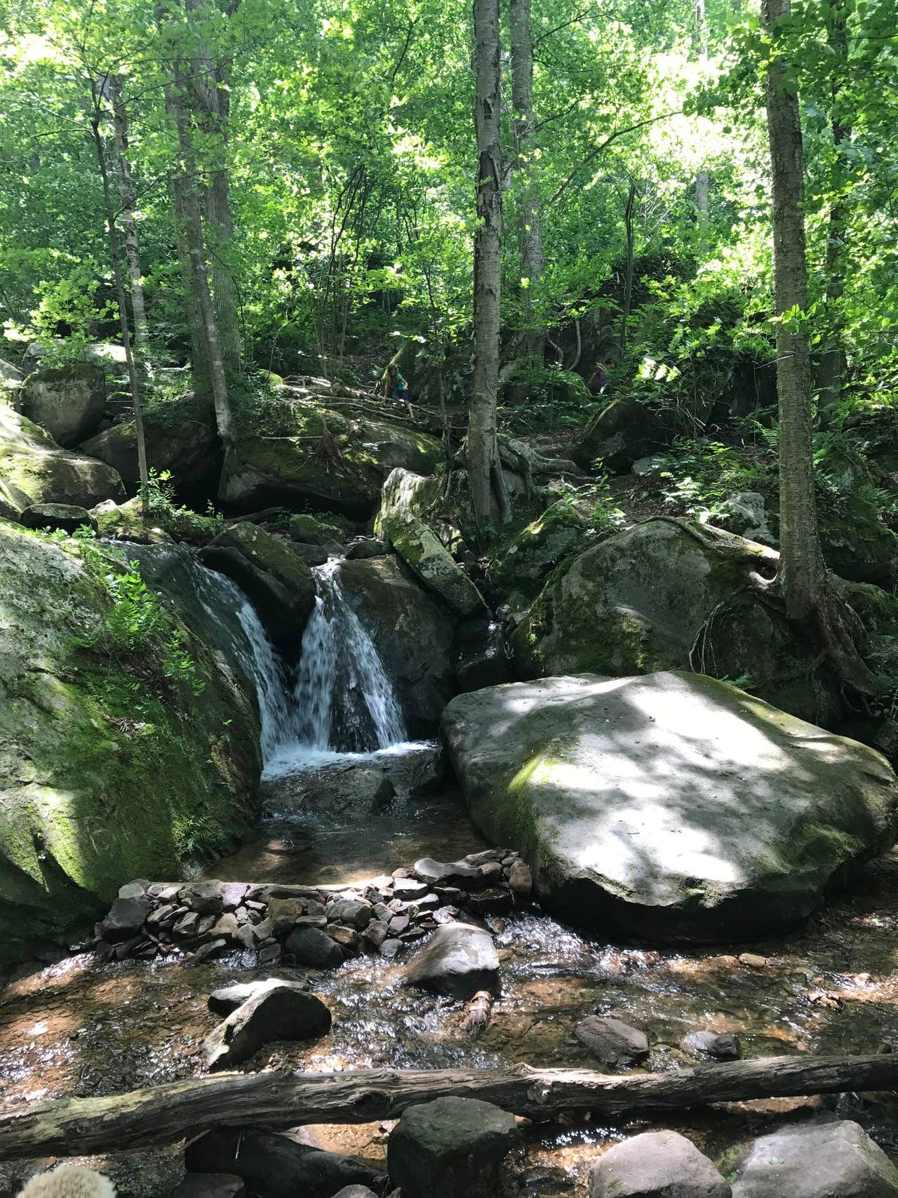 Camper-submitted photo at Red Oak Campground near Bradford, PA