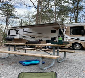 Camper-submitted photo from Honeycomb Campground