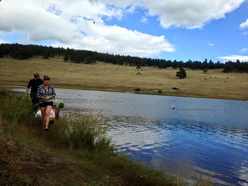 Escape to the Serenity of Colorado's Cold Springs Campground