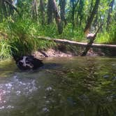Review photo of Cherry Creek State Park Campground by Hayley K., March 26, 2020