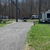 Review photo of Old Mill Camp and General Store  by Scott M., March 26, 2020