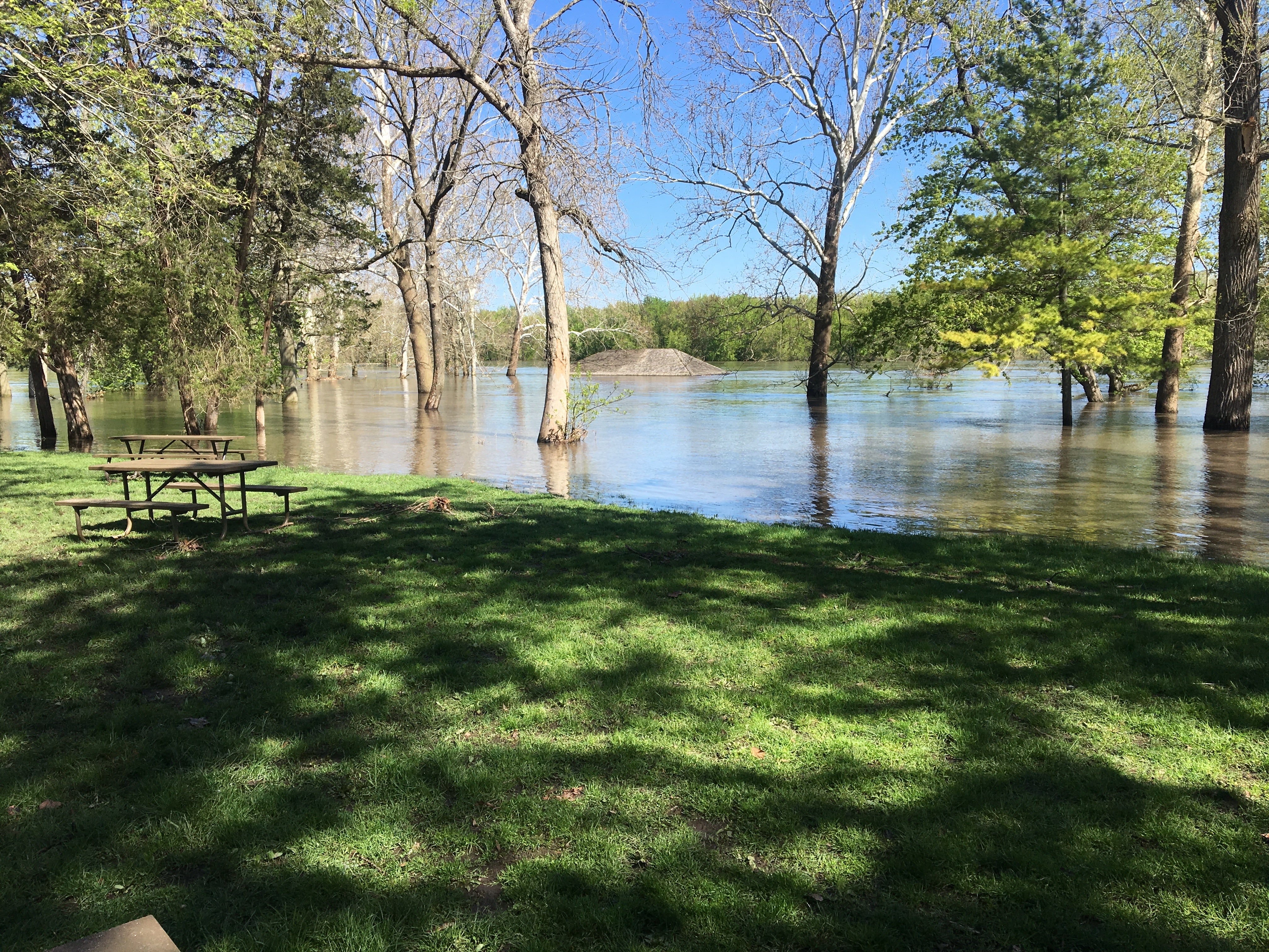Camper submitted image from Great Falls Campground — Illini State Park - 3