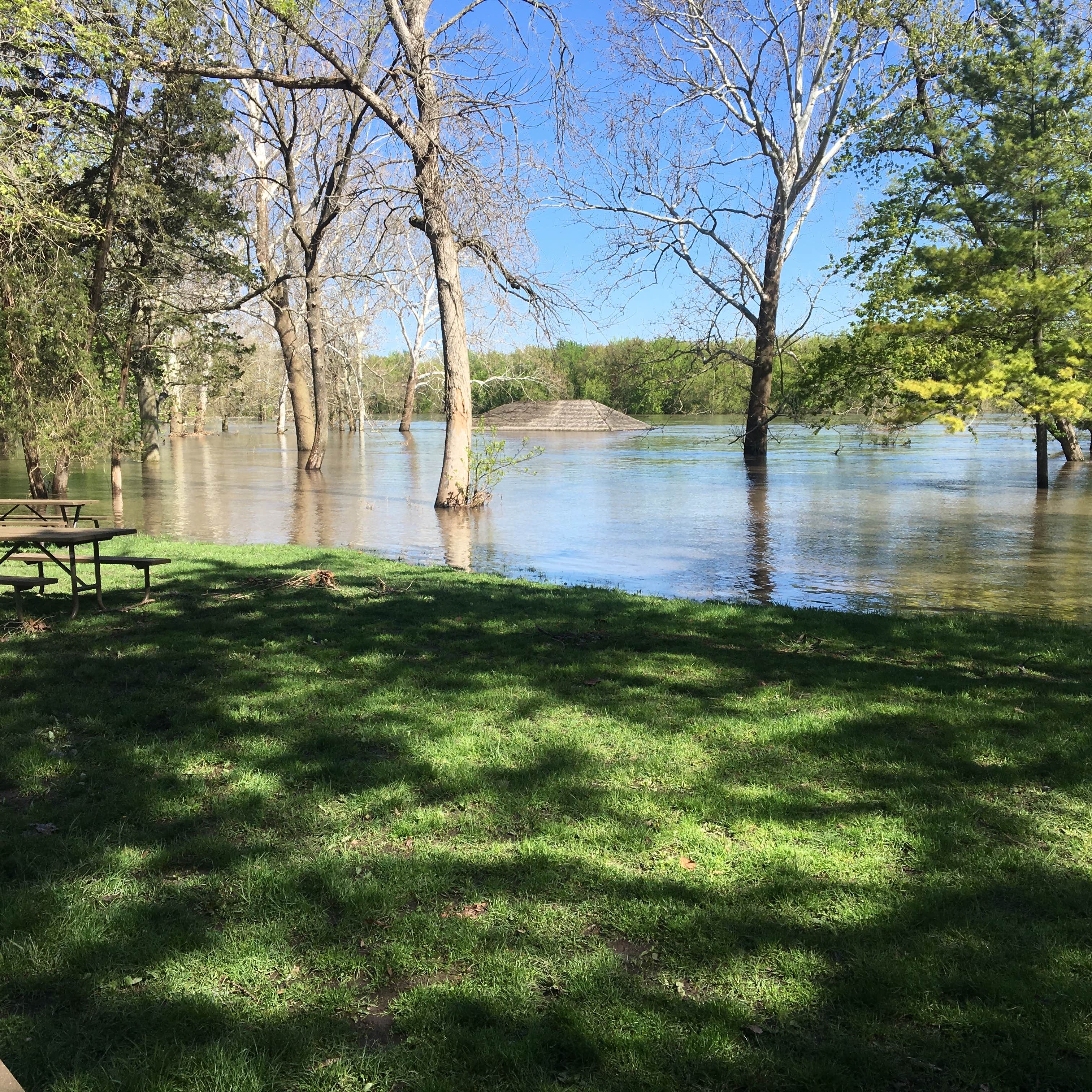 Escape to Illini State Park: Where Nature's Playground Awaits