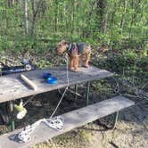 Review photo of Great Falls Campground — Illini State Park by Scott M., March 26, 2020