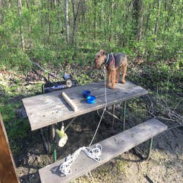 Great Falls Campground — Illini State Park