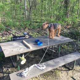 Great Falls Campground — Illini State Park